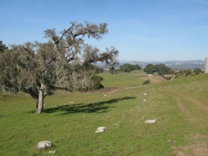 Rademacher-Taylor-IMG_3831