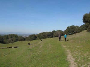 Rademacher-Taylor-IMG_3836