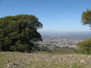 Rademacher-Taylor-IMG_3868