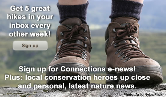 Sign Up for Connections