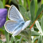 Source: parksconservancy.org