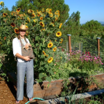 pam scott garden