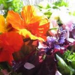 salad_edible flower2