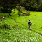 McLaren Park
