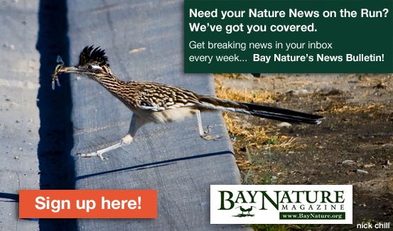 nature_news_signup