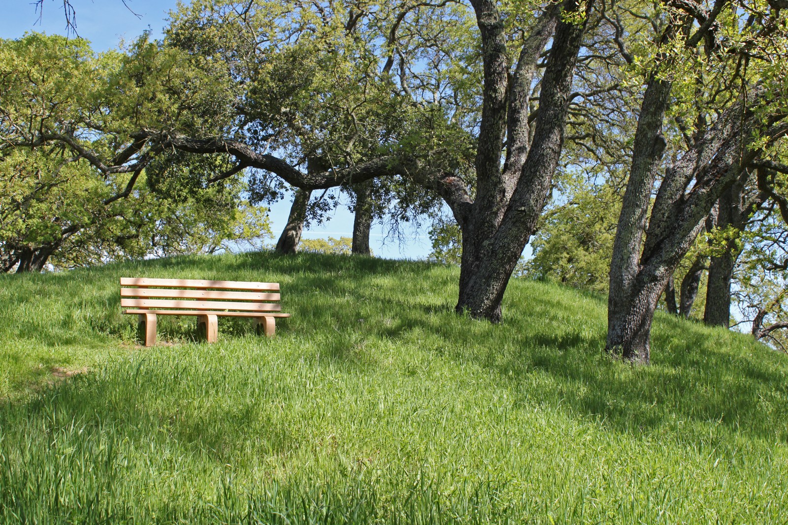 Bench at John Muir National Historic Site
