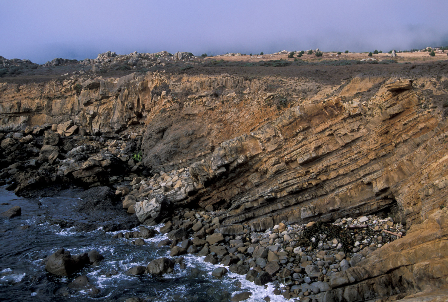 tilted layers of turbidite