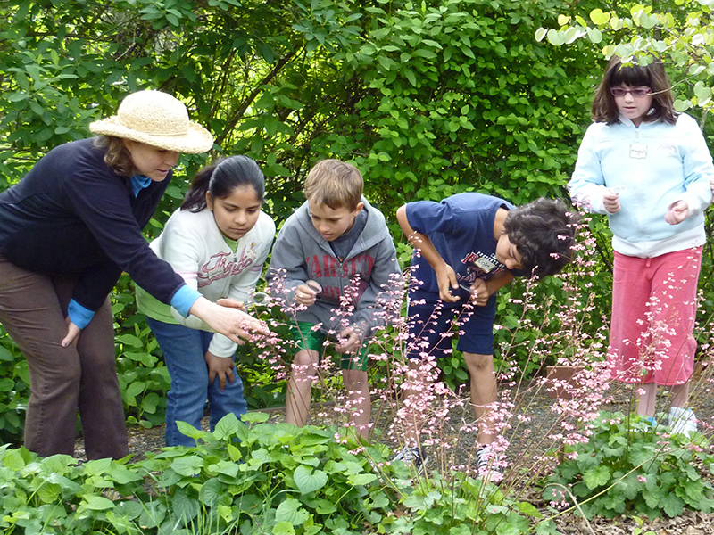 school visit to Martha Walker Native Habitat Garden