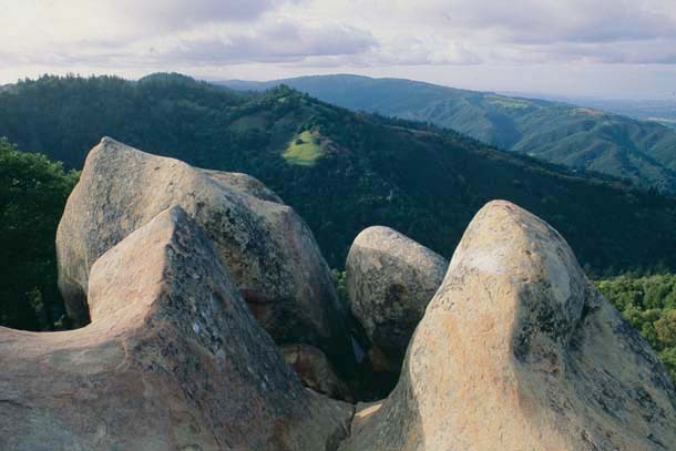 Ridges in the Santa Cruz Mountains