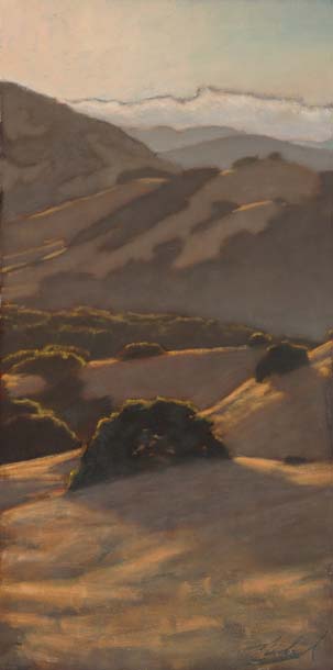 Vertical view of Burdell