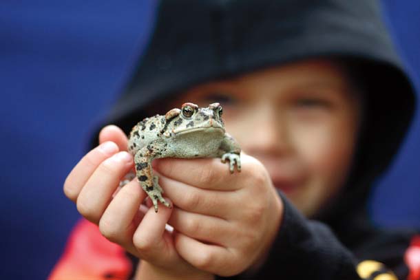 Child with western toad