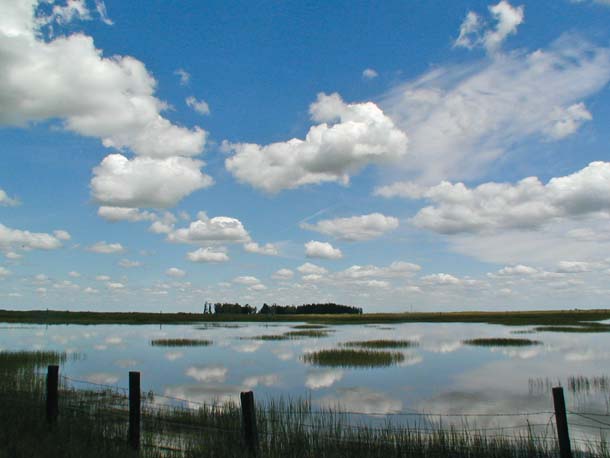 Lake Olcutt in Spring