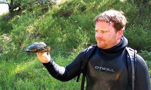 Biologist with western pond turtle