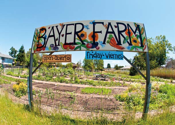 Bayer Farm sign