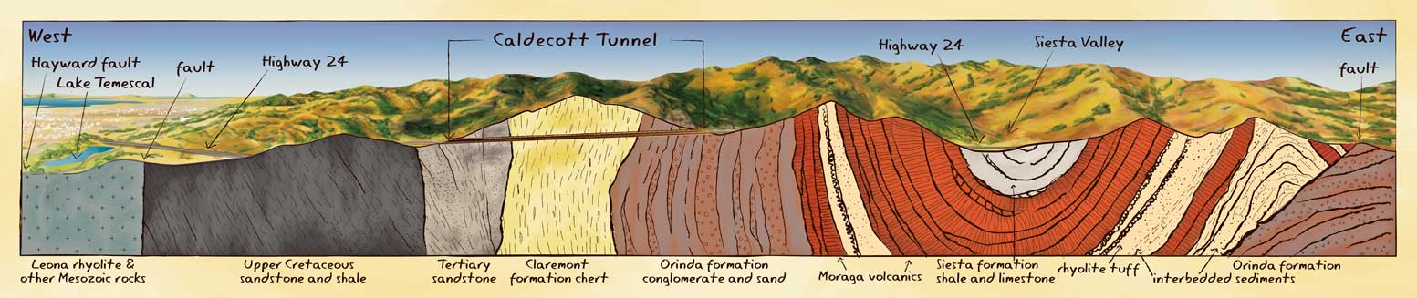 Caldecott Tunnel Cutaway Diagram