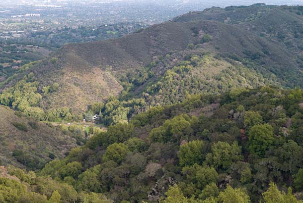 Forested hills above Los Altos
