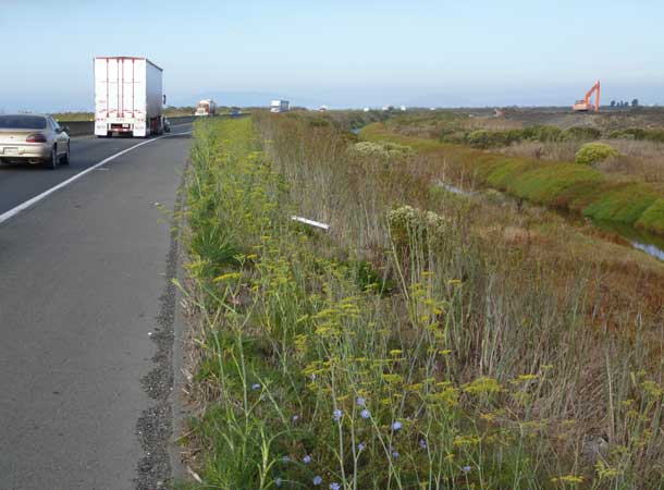 Traffic and marsh at Highway 37