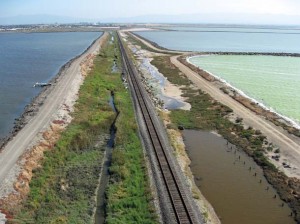Aerial view of the Weep, near Alviso in the South Bay.