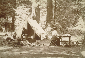 Camping at Big Basin
