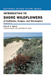 Shore wildflowers cover