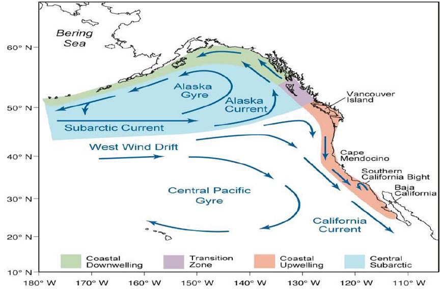 Map of major West Coast Currents