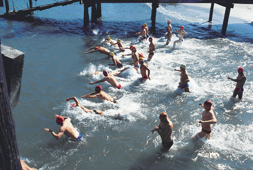 Swimmers at Aquatic Park