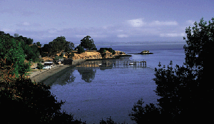 Site of fishing village