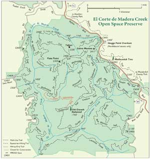El Corte de Madera Map