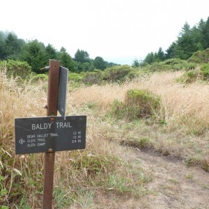 Baldy Trail sign with distant view of the Pacific.