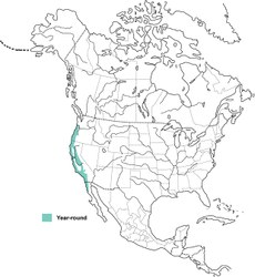 Distribution of the Wrentit. (From Birds of North America Online)