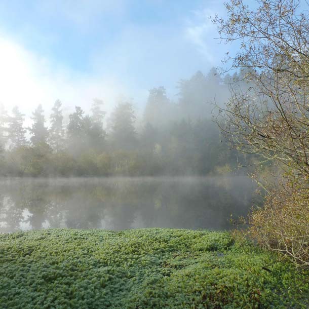 Five Brooks Pond, winter morning light.  Photograph by Jules Evens.