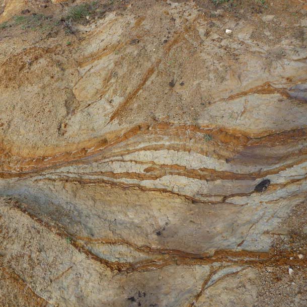Soil erosion at Point Reyes