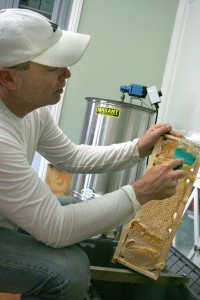 Urban beekeeper, Charlie Blevins, removes the caps of the honeycomb in order to extract honey. Photo by Charlie Blevins.