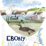 Cormorants and egrets along San Francisco Bay, by John Muir Laws.