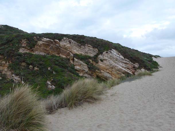 Laird sandstone where the Kehoe Beach trail meets the shore dunes. 