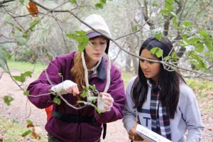 Learning phenology, photo by Jacoba Charles