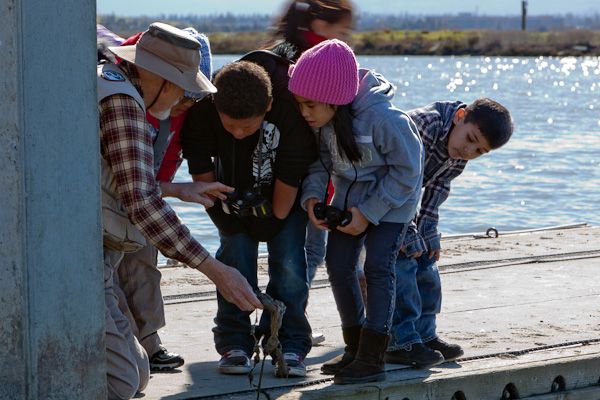 Kids at an Environmental Volunteers field trip to the Palo Alto Baylands