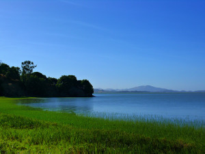 The nonprofit Friends of China Camp is now operating China Camp State Park in Marin. Photo: Rene Rivers.