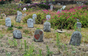 Apparently dogs in the Presidio date back as far as 1950, as evidenced by this pet cemetery in the shadow of the elevated Doyle Drive. Photo: Wayne Hsieh.