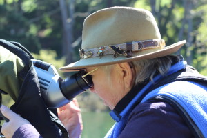 Nancy DeStefanis observing the blue heron colony at Stow Lake. Photo: Alessandra Bergamin. 