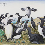 LOOMERY. Common Murres Painting by Jeff Long, photo by John Arbuckle