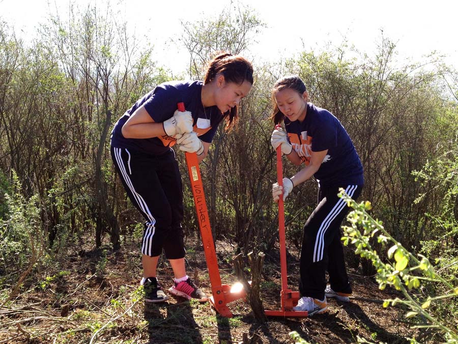 Student volunteers with a weed wrench, Photo by Marilyn Goldhaber