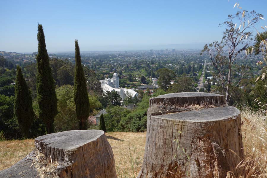 Eucalyptus stumps, Claremont Hotel in the distance