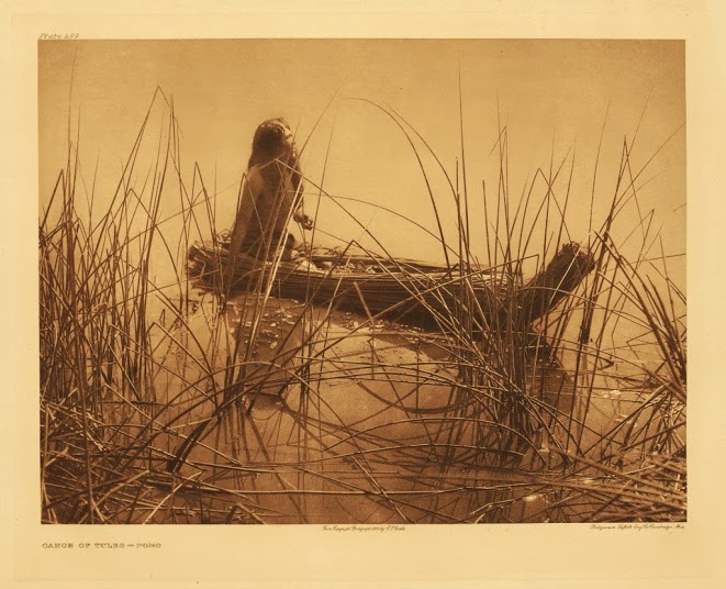 A Pomo in a tule canoe. Photo: Northwestern University Library, Edward S. Curtis's 'The North American Indian': the Photographic Images, 2001.