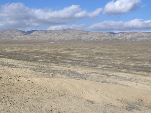 Classic territory of the San Joaquin kit fox is the Carrizo Plain. Photo: Randomtruth.