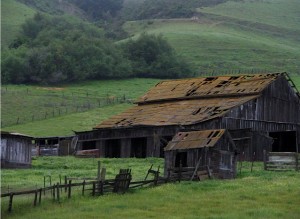 A dilapidated barn punctuates the hills around Aromas. Photo: Rob Ryan. 