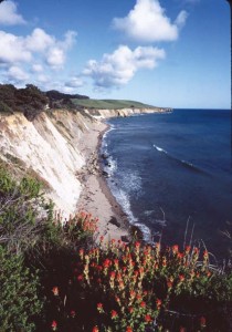 Dramatic seaside cliffs just south of the town of Point Arena. Photo by Frank S. Balthis