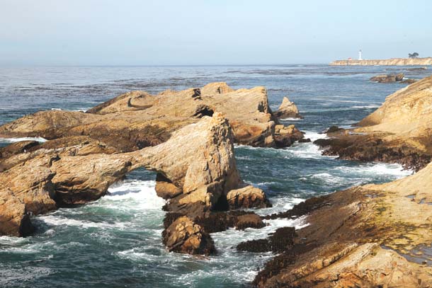 These rock reefs just offshore of the Stornetta Public Lands along the rugged coast south of the lighthouse are part of the little-known California Coastal National Monument. Photo by Meade Fischer