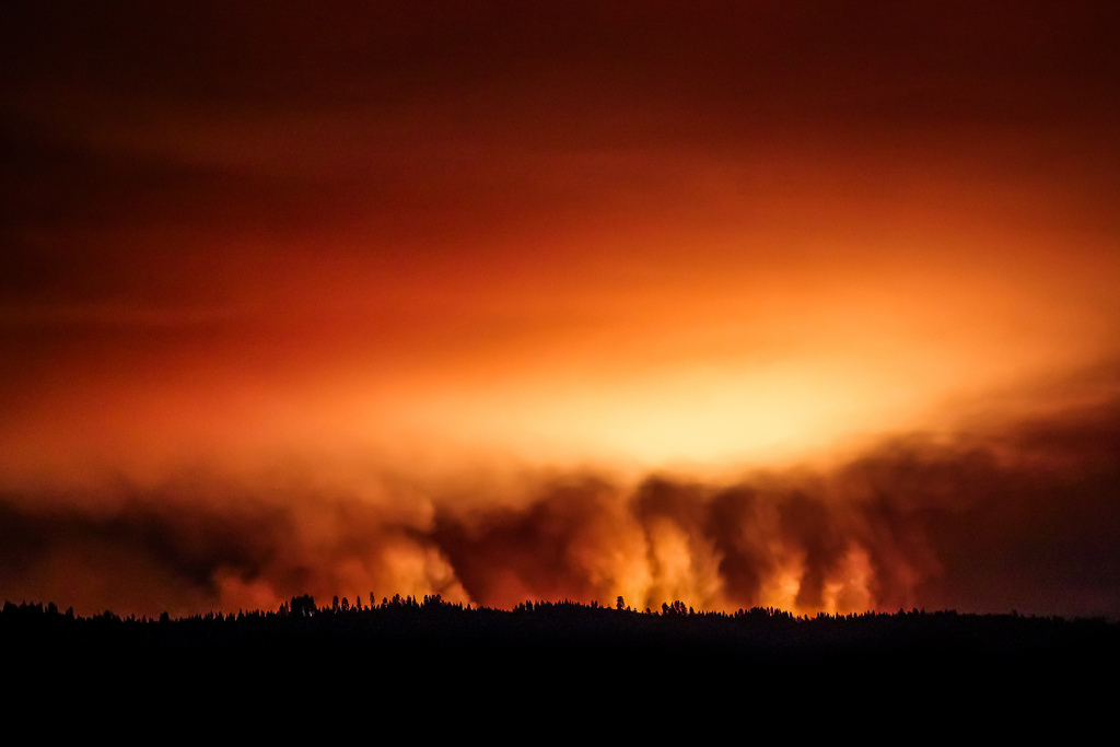 Rim Fire. Photo: Bodey Marcoccia.