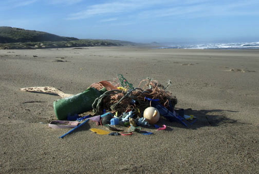 Photo: Judith Selby Lang/Plastic Forever. 